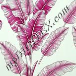 Colour:C