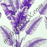 Colour:D