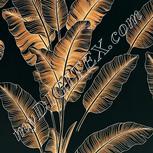 Colour:F