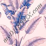 Colour:J