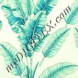 Colour:K