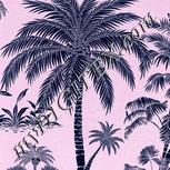 Colour:F