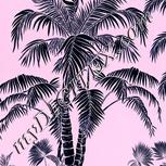 Colour:F