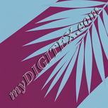 Colour:F