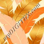 Colour:A