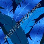 Colour:F