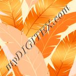 Colour:J