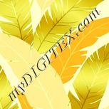 Colour:K