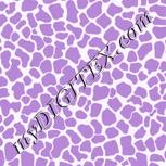 Colour:B