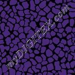 Colour:F
