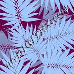 Colour:F