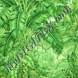 Colour:K