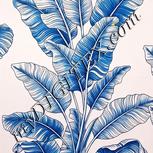 Colour:A