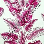 Colour:C