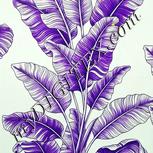 Colour:D