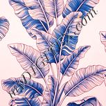 Colour:J