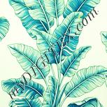 Colour:K