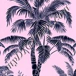 Colour:F
