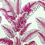 Colour:C
