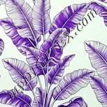 Colour:D