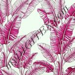Colour:C