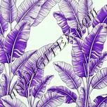Colour:D