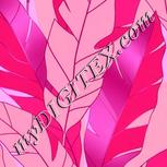 Colour:B