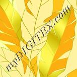 Colour:K