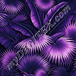 Colour:B