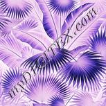 Colour:F