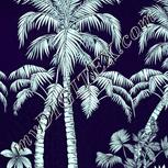 Colour:C