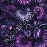 Colour:B