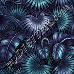 Colour:C