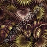 Colour:D