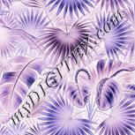 Colour:F
