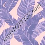 Colour:J