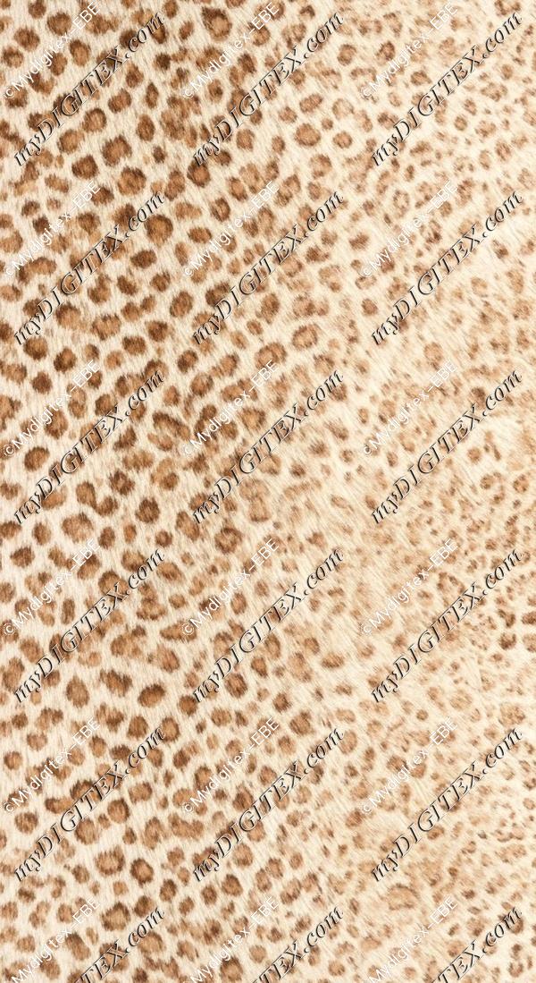 EBE 0007600