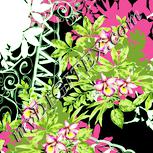Colour:K