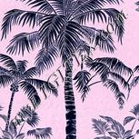Colour:F