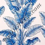 Colour:A