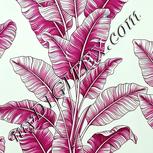 Colour:C