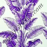 Colour:D