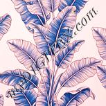 Colour:J
