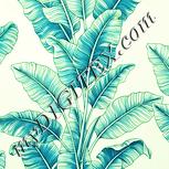 Colour:K