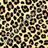 Colour:A