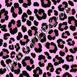 Colour:B