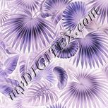 Colour:F