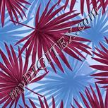 Colour:B