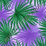 Colour:C