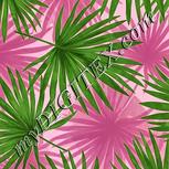 Colour:D